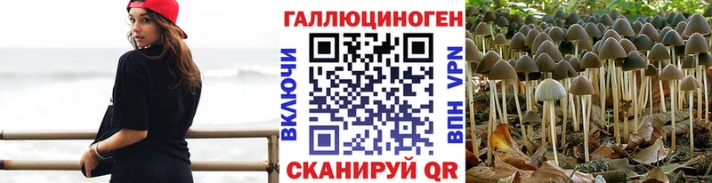 Галлюциногенные грибы Cubensis  kraken как войти  Луза 